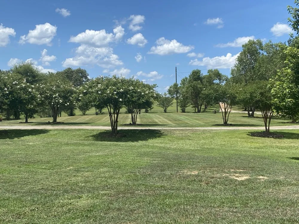 Local yard maintenance experts serving Prosperity, SC - Presidential Lawn Care