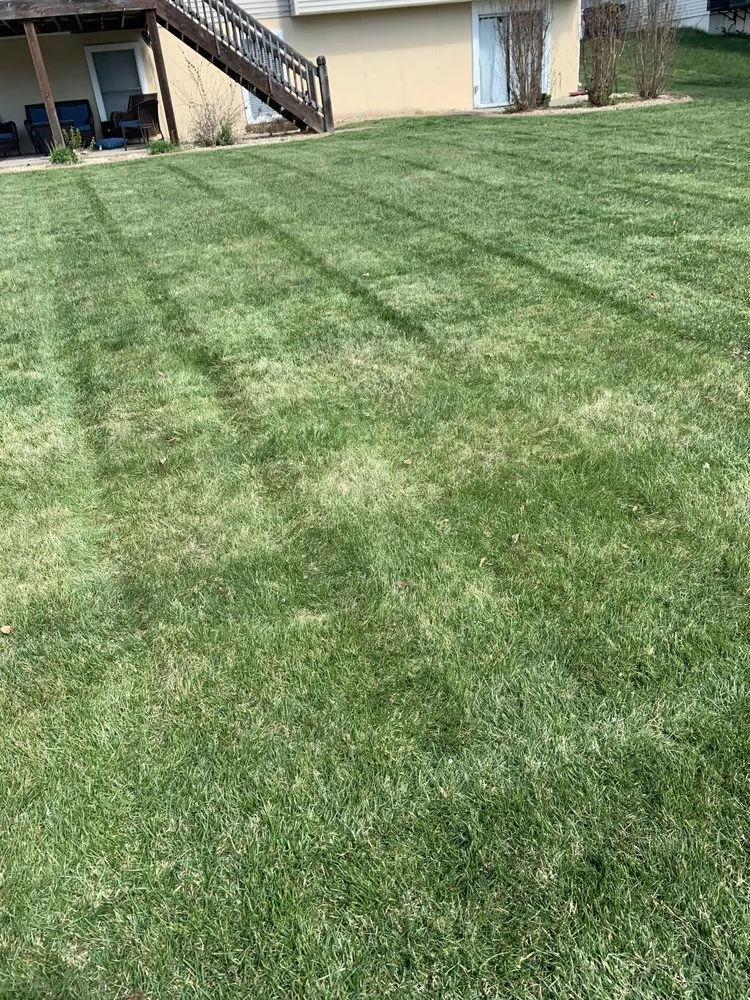 Local yard cleanup service with custom design in Saint Louis, MO by Presidential Lawn Care