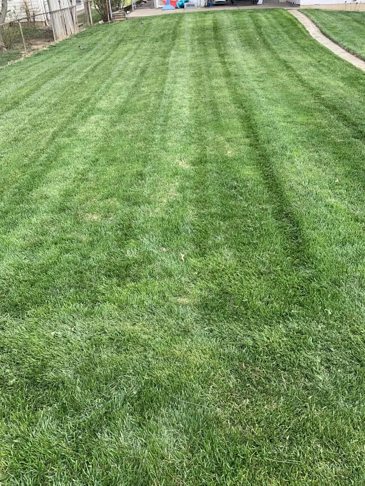 Trusted lawn mowing service in Saint Louis, MO by Presidential Lawn Care