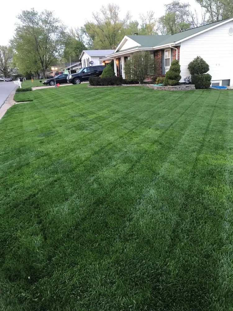 Trusted landscape design in Saint Louis, MO by Presidential Lawn Care