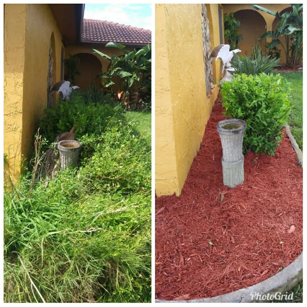 Expert garden landscaping for year-round maintenance across Port Richey, FL - Presidential Property Maintenance Team