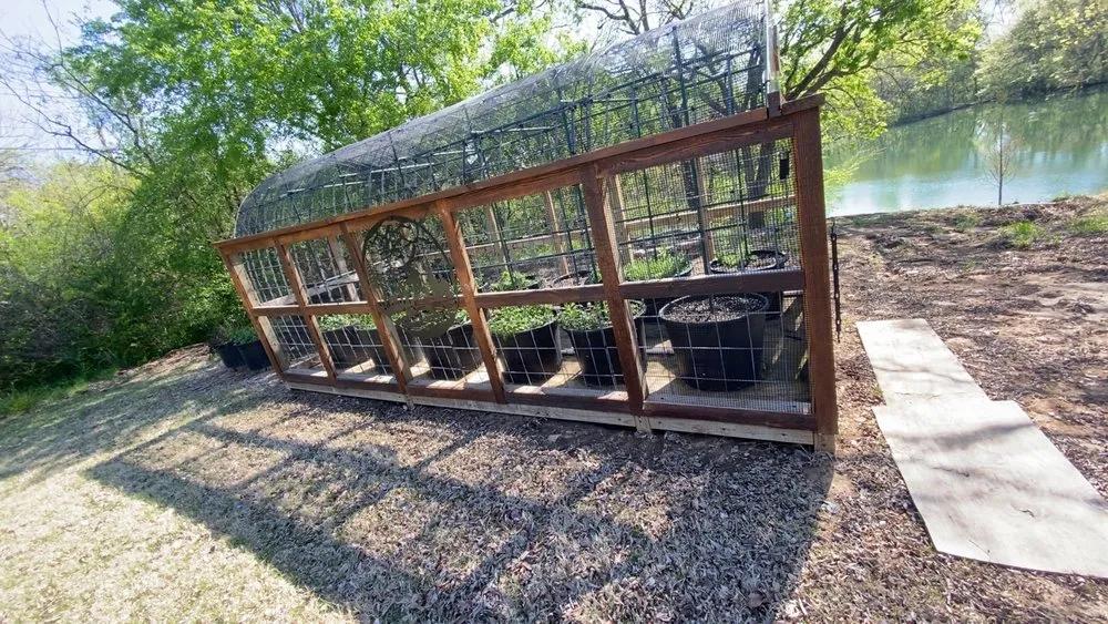 Expert yard maintenance in Jenks, OK by Presley’s landscape