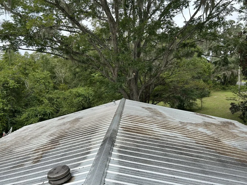 Local lawn care service in Lake City, FL by Presley’s Premier Service