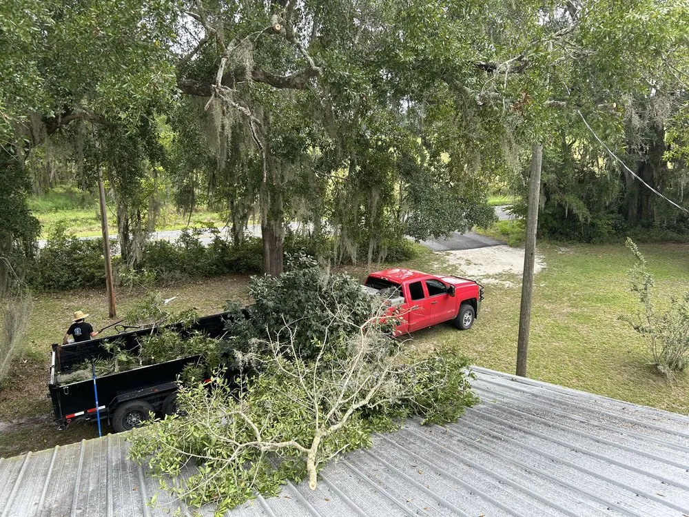 Local yard cleanup service with custom design across Lake City, FL - Presley’s Premier Service