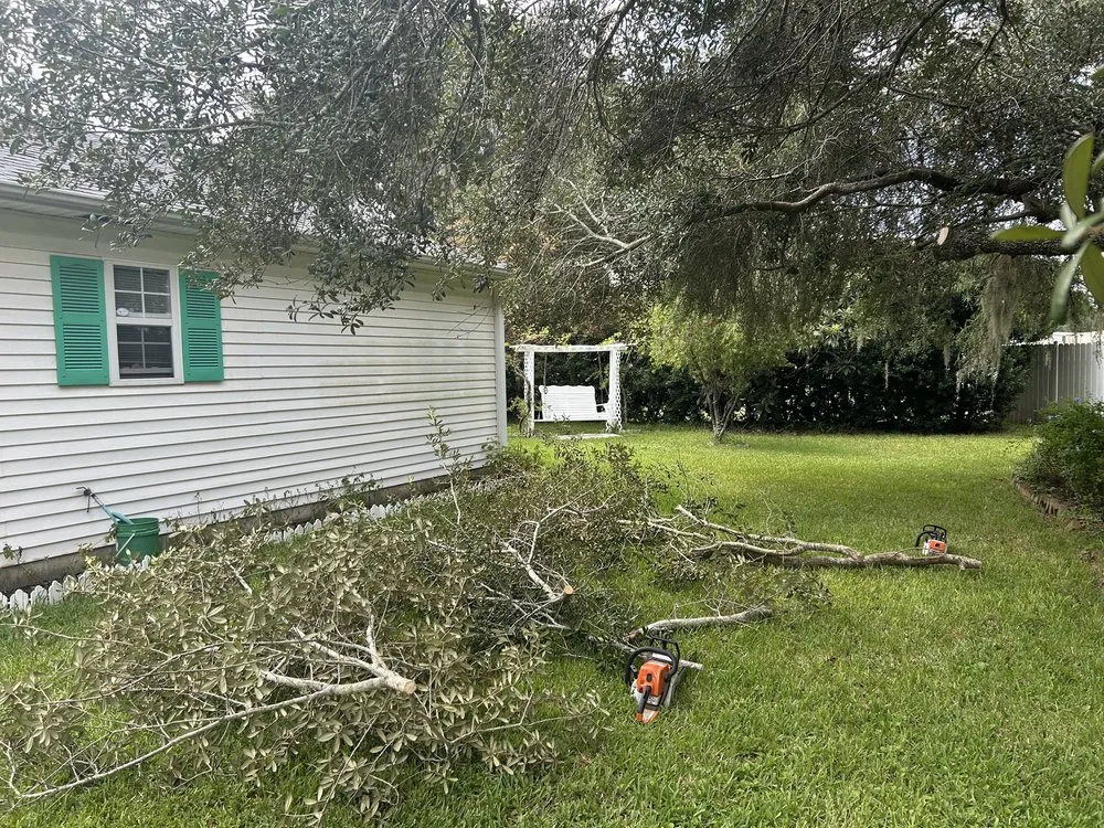 Local yard cleanup service experts serving Lake City, FL - Presley’s Premier Service