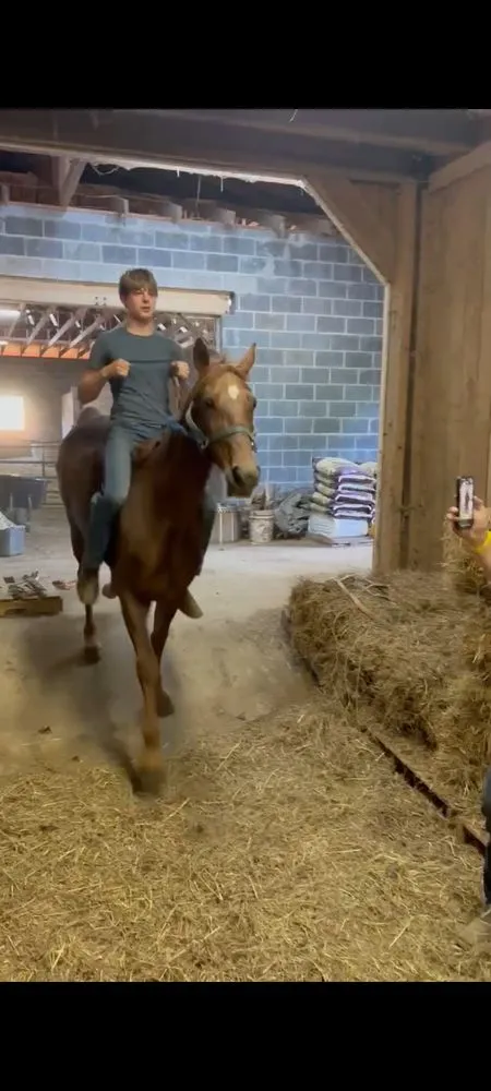 Trusted residential landscaping in Jonesborough, TN - Presnell Lawn and Farm