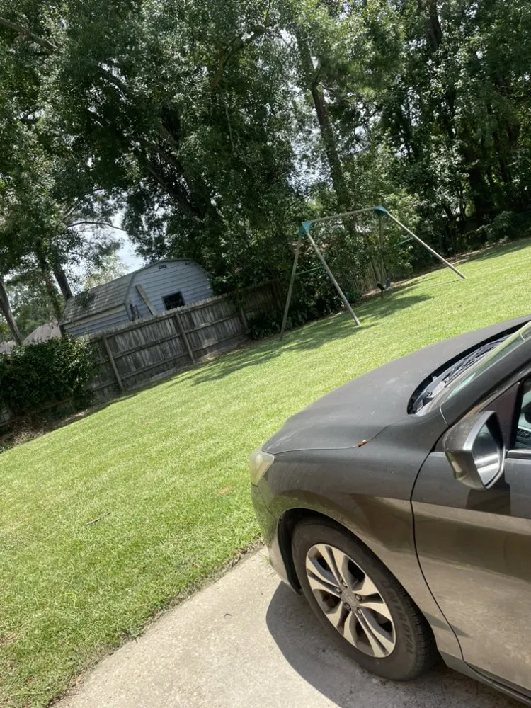 Expert lawn mowing service in Baton Rouge, LA - Pressuhhh