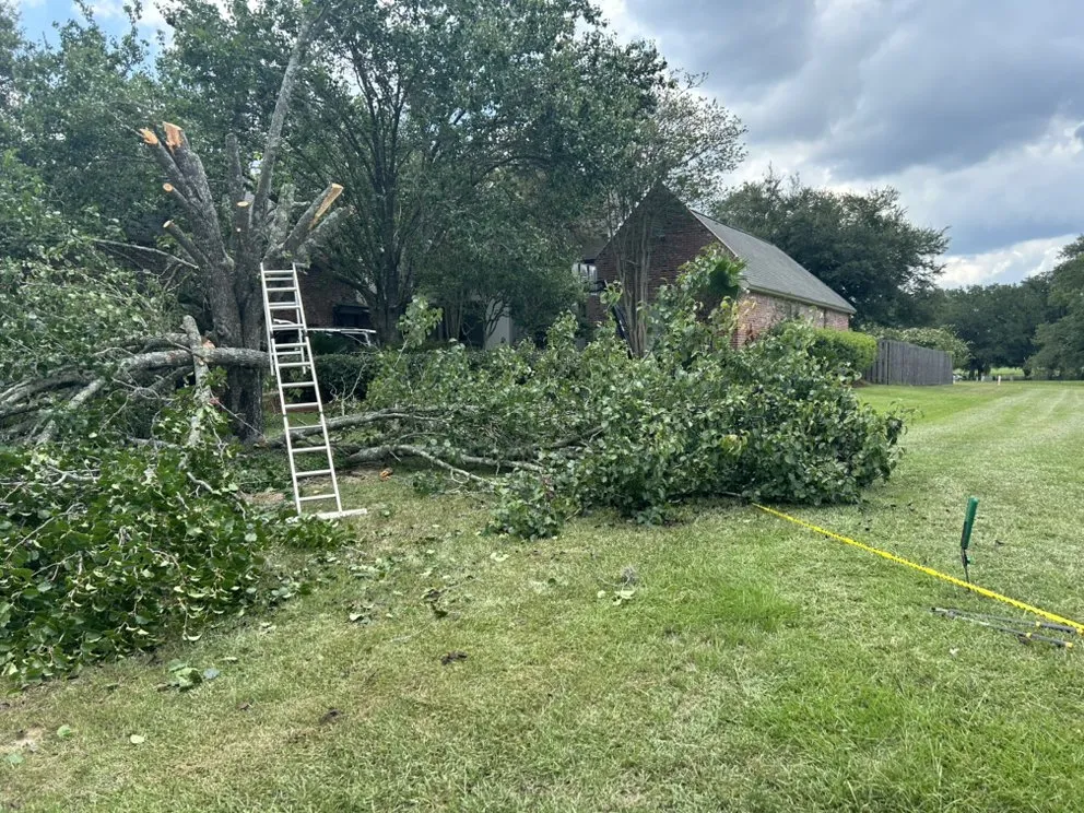 Affordable landscaping services with custom design in Baton Rouge, LA by Pressuhhh