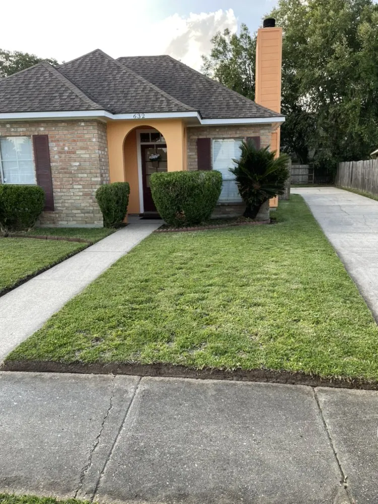 Expert yard cleanup service in Baton Rouge, LA by Pressuhhh