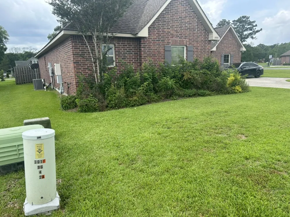 Professional residential landscaping experts serving Baton Rouge, LA - Pressuhhh