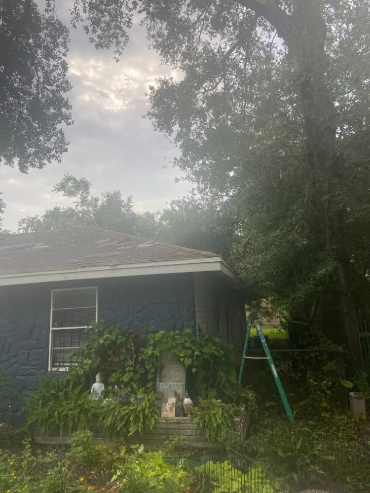 Top-rated garden landscaping in Houston, TX by Pressure 4 Purpose