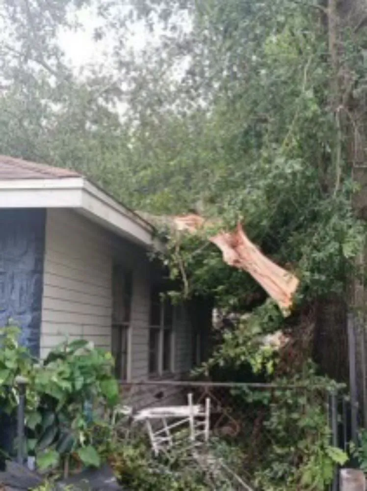 Reliable outdoor landscaping in Houston, TX - Pressure 4 Purpose