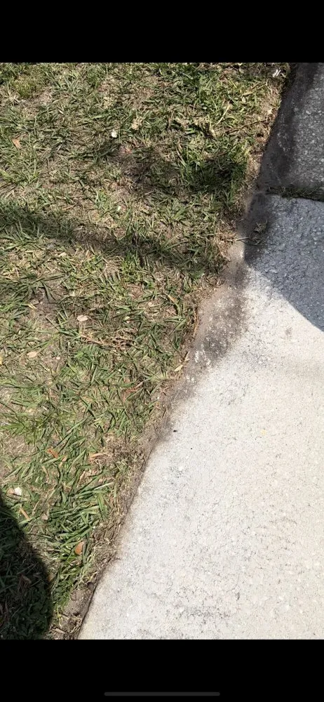 Custom landscape installation with custom design in Cottondale, FL by Pressure Care Washing