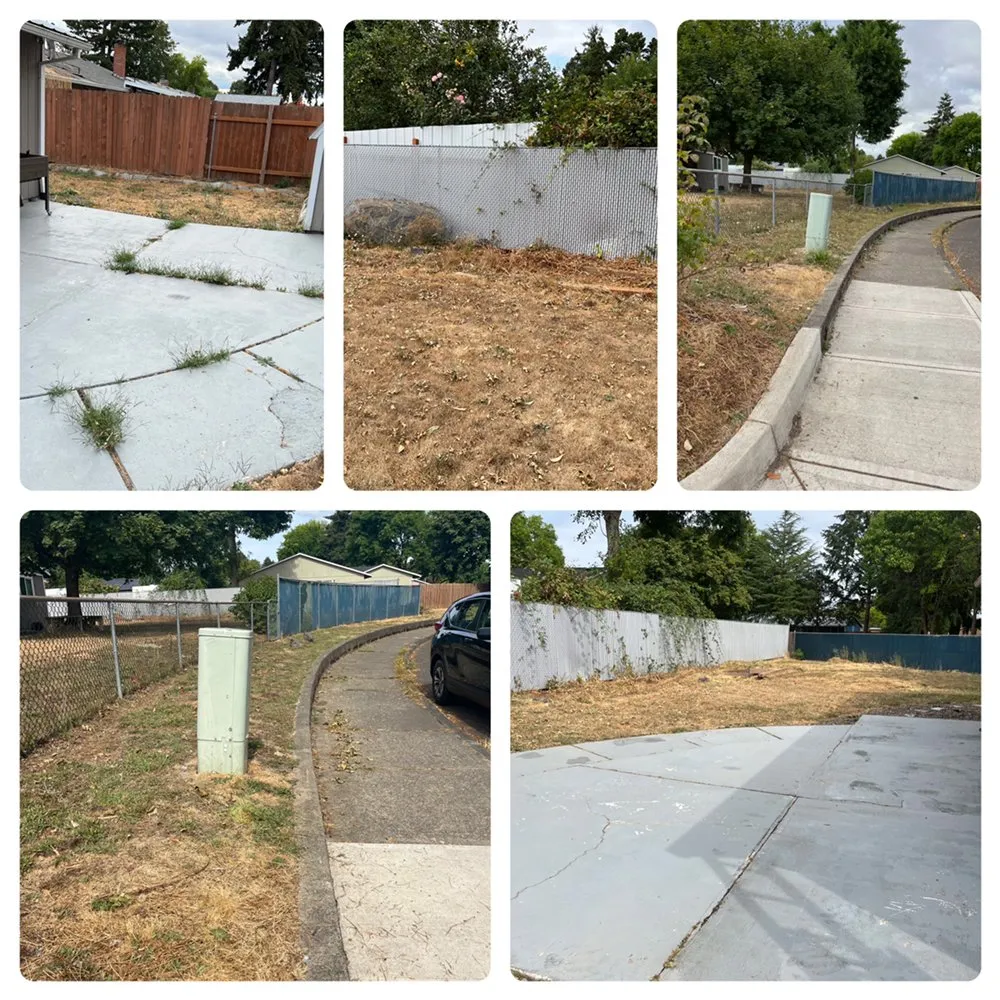 Affordable landscape design for homes across Portland, OR - Pressure Junkiez