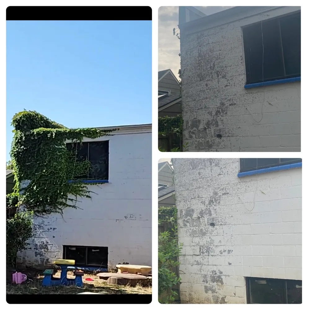 Reliable yard maintenance for outdoor upgrades in Portland, OR by Pressure Junkiez