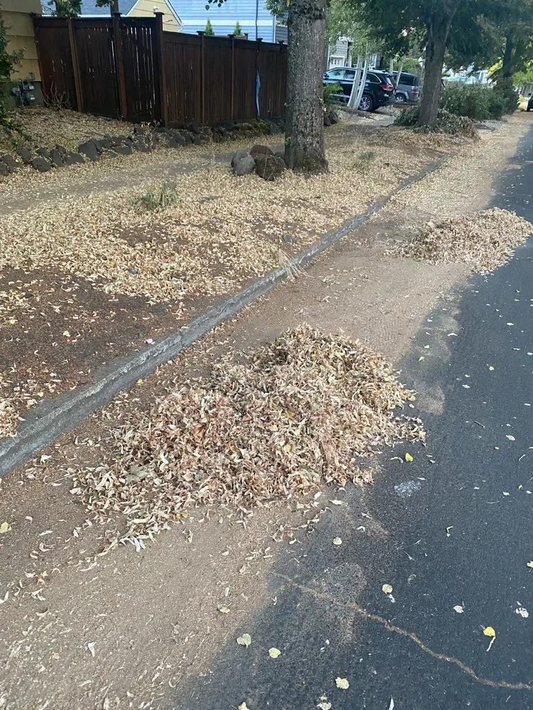 Professional lawn mowing service in Portland, OR - Pressure Junkiez