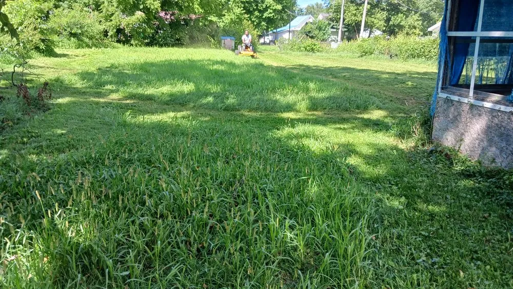 Affordable yard cleanup service near you in Elkhart, IN by Pressure landscaping