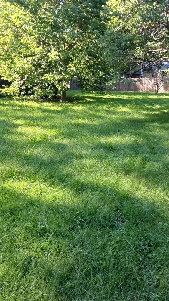 Local lawn care service for homes across Elkhart, IN - Pressure landscaping