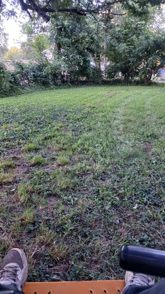 Expert outdoor landscaping in Elkhart, IN by Pressure landscaping