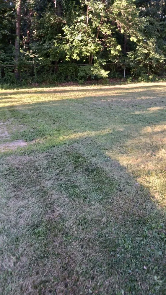 Local landscape installation for homes across Elkhart, IN - Pressure landscaping