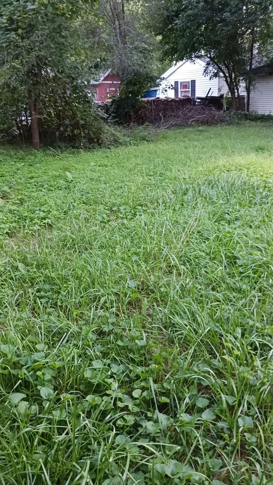 Affordable lawn mowing service in Elkhart, IN - Pressure landscaping