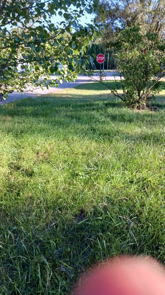 Top-rated landscape design in Elkhart, IN - Pressure landscaping