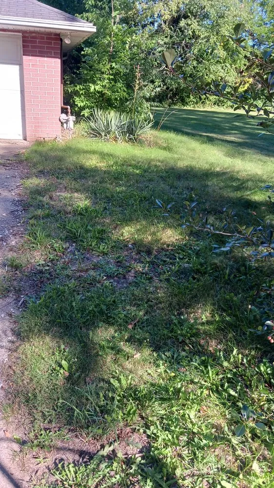 Top-rated residential landscaping with custom design across Elkhart, IN - Pressure landscaping