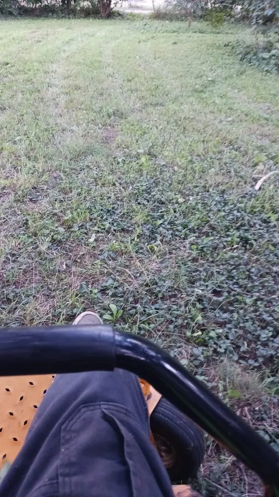 Reliable landscaping services for homes across Elkhart, IN - Pressure landscaping