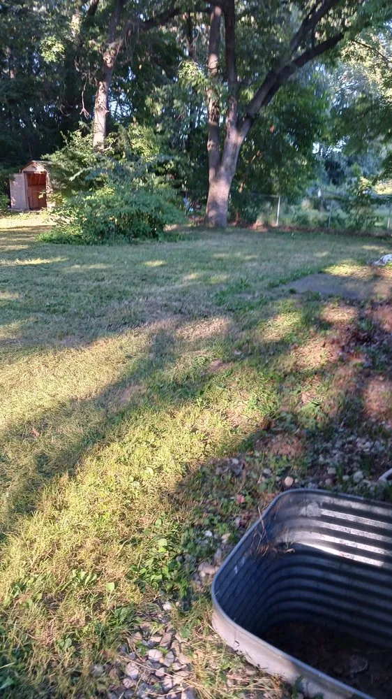 Affordable lawn care service for year-round maintenance in Elkhart, IN by Pressure landscaping