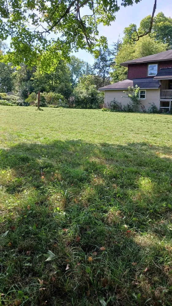 Top-rated yard cleanup service experts serving Elkhart, IN - Pressure landscaping