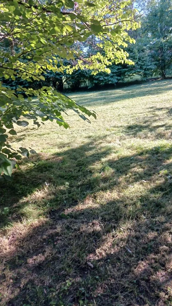 Top-rated landscape design for residential properties across Elkhart, IN - Pressure landscaping