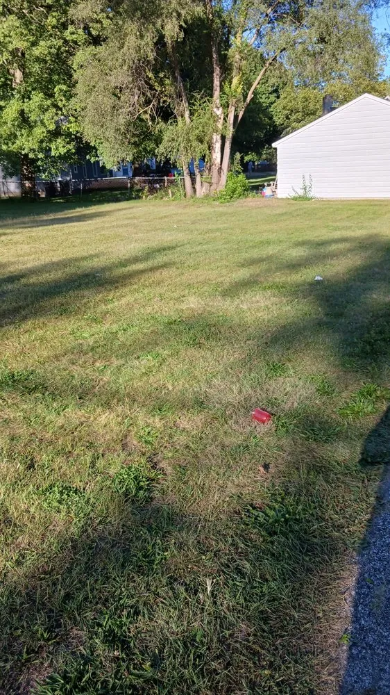 Expert yard cleanup service in Elkhart, IN by Pressure landscaping