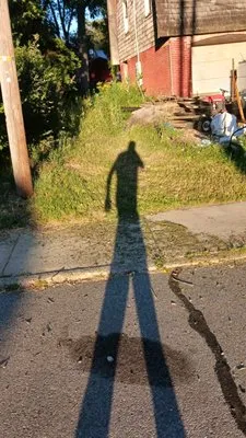 Pressure landscaping Logo