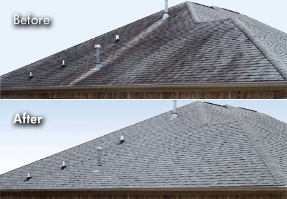 Top-rated yard maintenance experts serving Leland, NC - Pressure Washing Anytime