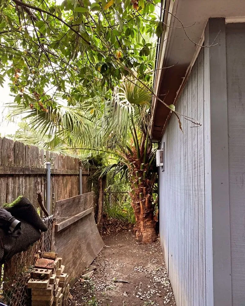 Professional lawn care service experts serving Harvey, LA - Pressure Washing Fast Solutions