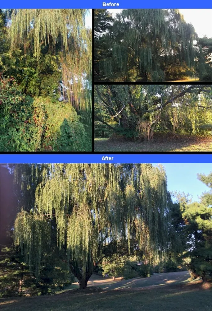 Trusted landscape design in Roanoke, VA by Prestige Acres Landscaping