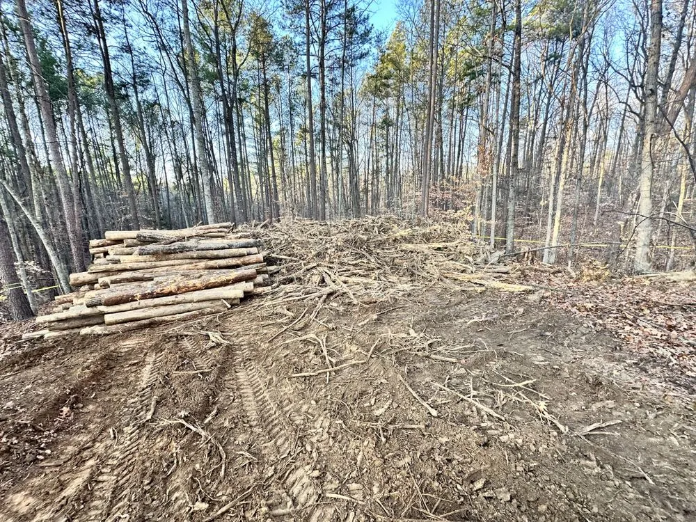 Expert landscaping services in Richmond, VA by Prestige Concrete Edging