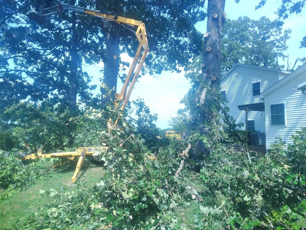 Top-rated outdoor landscaping for year-round maintenance across Winona, MO - Prestige Contracting and Landscaping