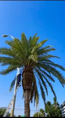 Prestige Design Landscaping