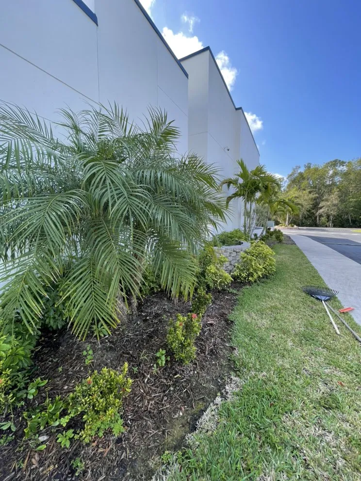 Reliable yard maintenance in Lehigh Acres, FL - Prestige Earth Works