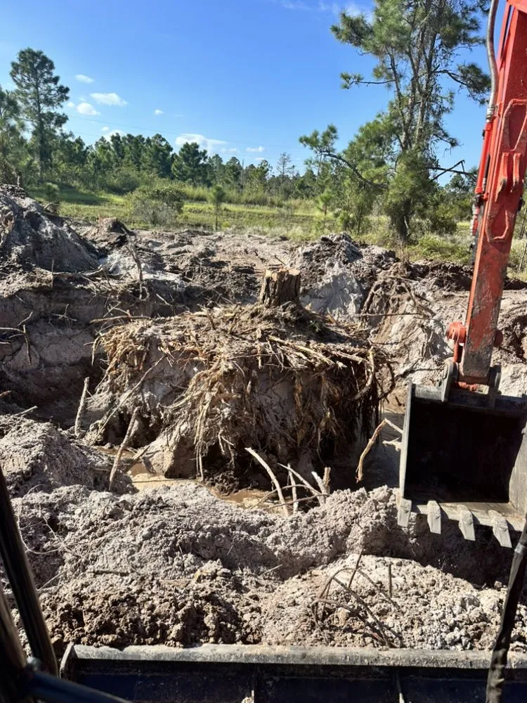 Trusted landscape design in Lehigh Acres, FL by Prestige Earth Works