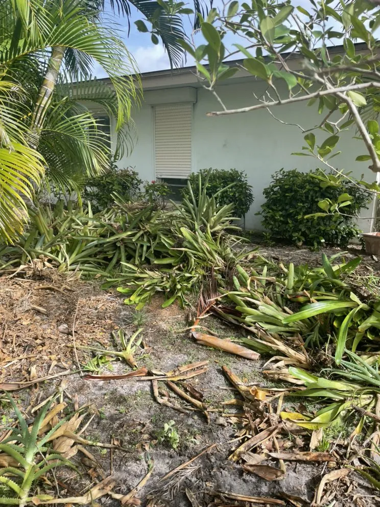 Expert yard maintenance experts serving Lehigh Acres, FL - Prestige Earth Works