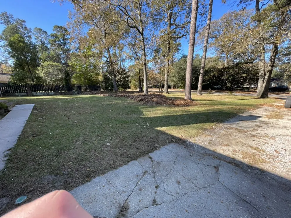 Top-rated landscaping services for year-round maintenance across Summerville, SC - Prestige Exterior Care