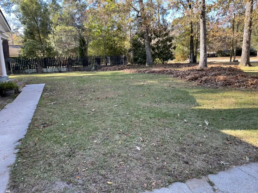 Professional landscape design in Summerville, SC - Prestige Exterior Care