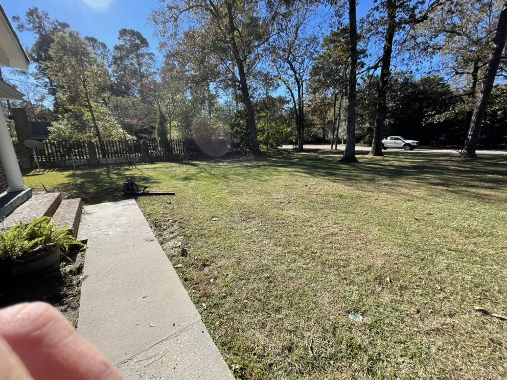 Top-rated yard cleanup service for homes in Summerville, SC by Prestige Exterior Care