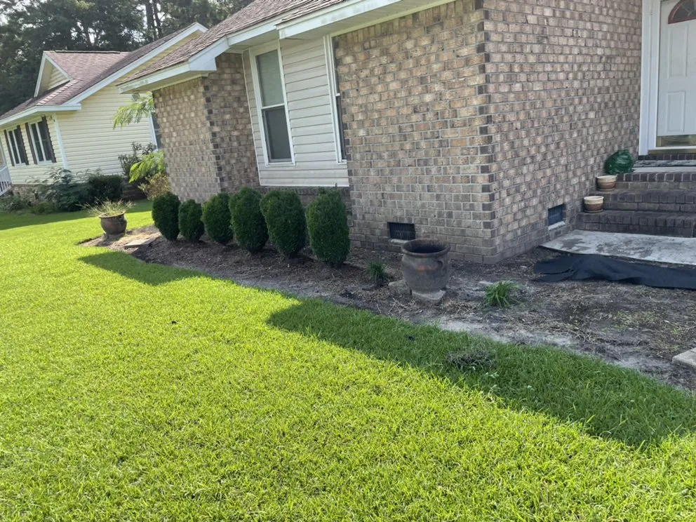 Custom yard maintenance experts serving Summerville, SC - Prestige Exterior Care