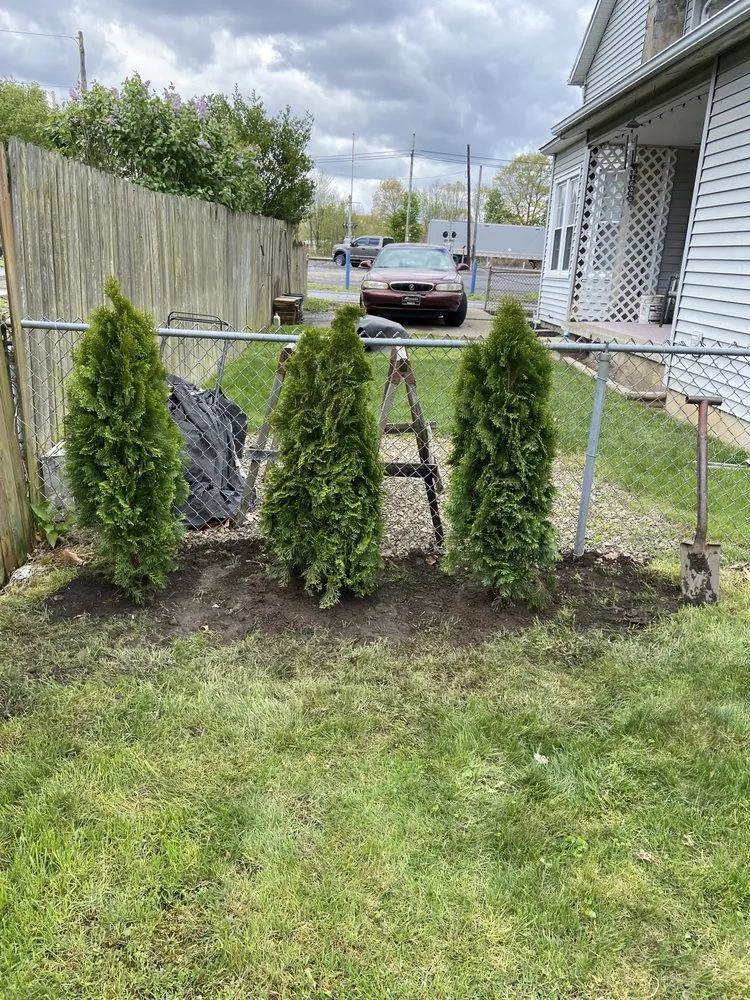 Custom yard maintenance for homes across Larksville, PA - Prestige Flowers and Landscaping