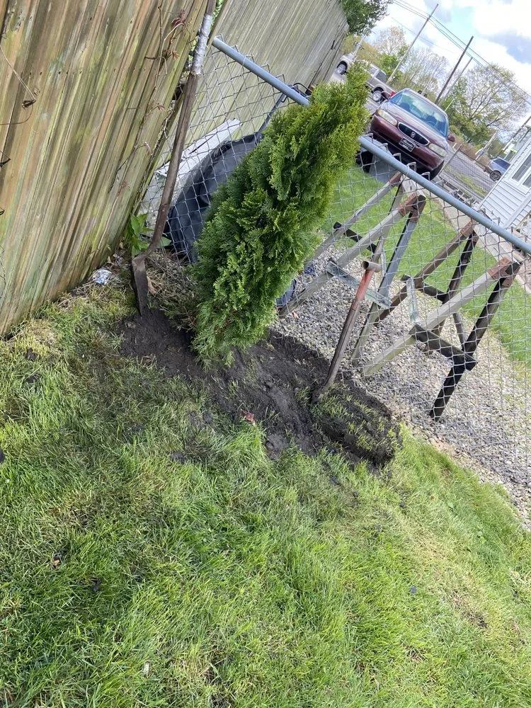 Top-rated landscaping services in Larksville, PA by Prestige Flowers and Landscaping