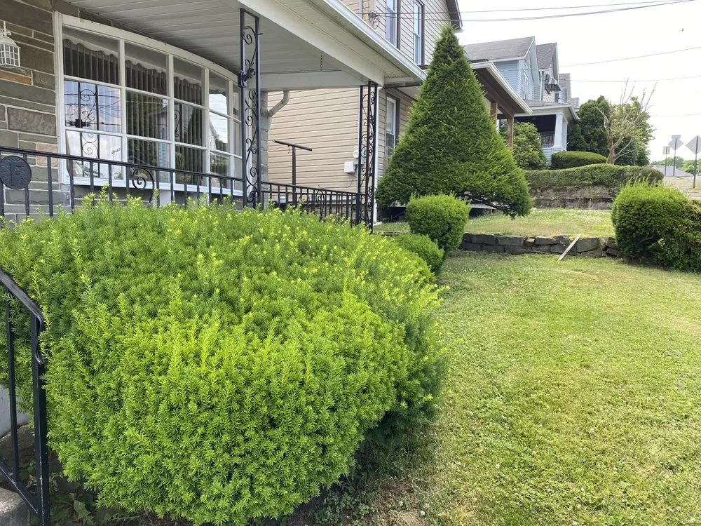 Custom landscape installation in Larksville, PA by Prestige Flowers and Landscaping