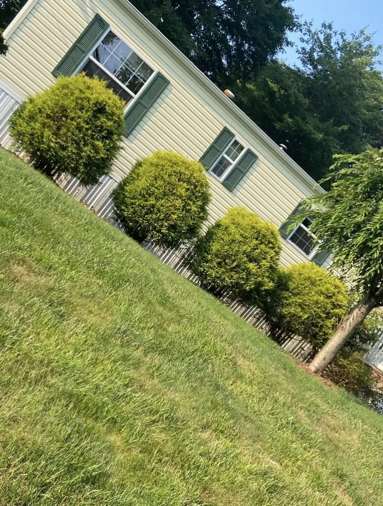 Affordable landscape installation for residential properties in Larksville, PA by Prestige Flowers and Landscaping